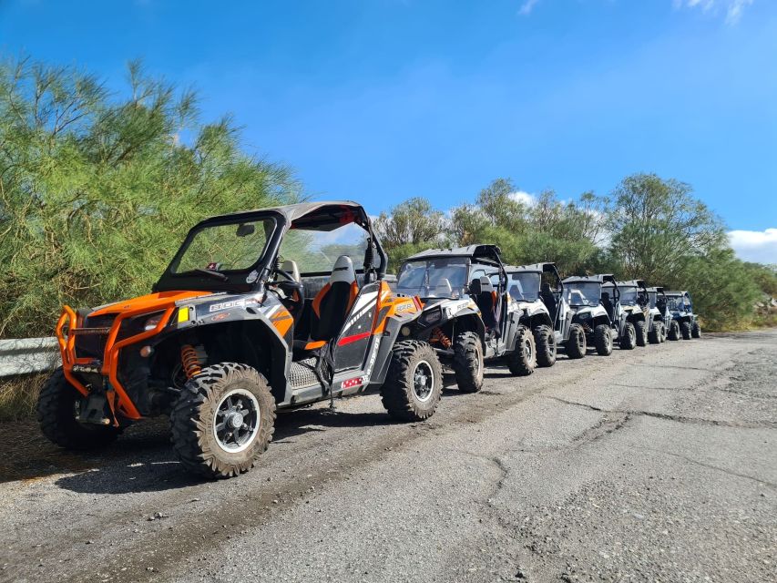 Etna Buggy 4x4 Tour - Who will enjoy this Etna outing most?