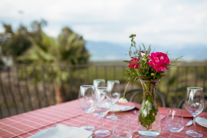 Etna Countryside Food & Wine Lovers Tour (Small Group or Private) - Who will enjoy this Etna food and wine tour?