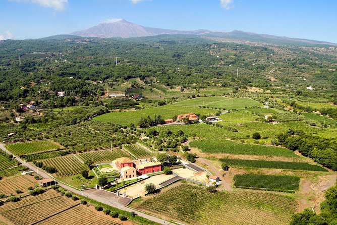 Etna DOC & Organic Wine tasting and tour of the 1815 historic winery - What private touring adds to the visit