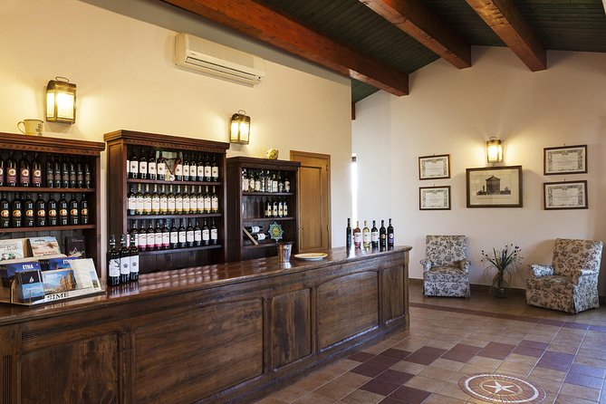 Etna DOC & Organic Wine tasting and tour of the 1815 historic winery - Timing, meeting point, and cancellation details