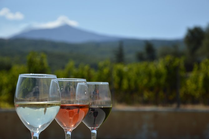 Etna DOC & Organic Wine tasting and tour of the 1815 historic winery - Guido’s tour covers more than tasting notes