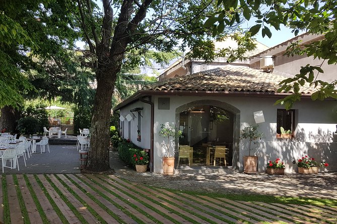Etna Easy & Winery from Messina, Catania or Taormina/G. Naxos - Who should book this Etna outing?