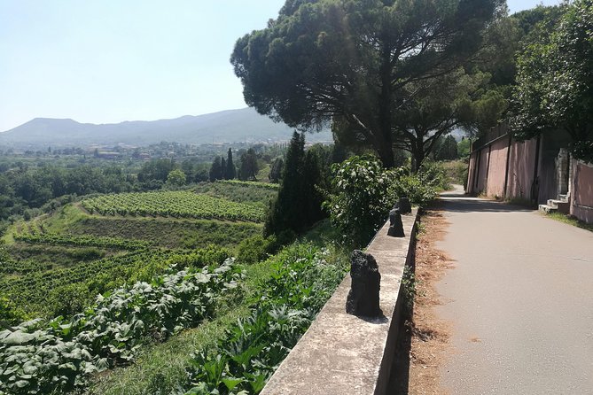 Etna Excursion and Lunch - Wine Tasting in Etna DOC Vinery - From Catania to the slopes of Mount Etna