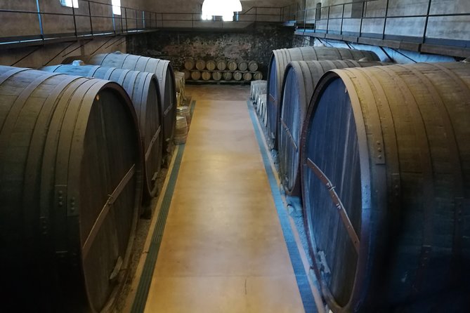Etna Excursion and Lunch - Wine Tasting in Etna DOC Vinery - Villages and the return through Sicily