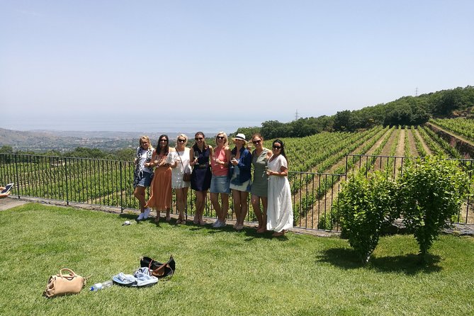Etna Excursion and Lunch - Wine Tasting in Etna DOC Vinery - Rifugio Sapienza and the 2,000-meter stop