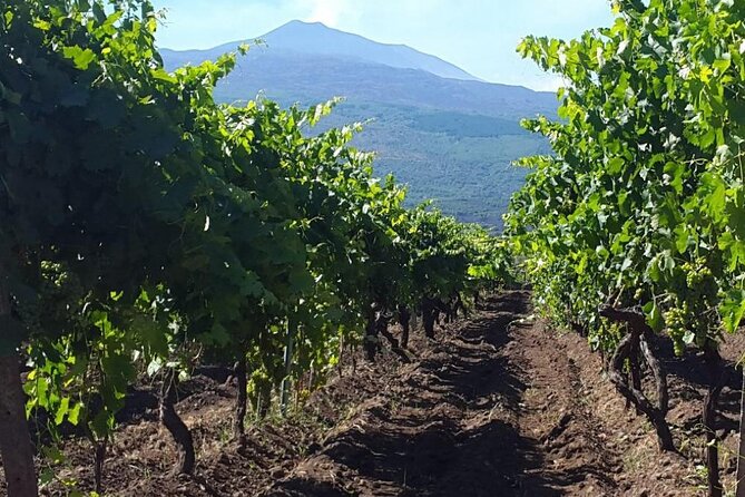 Etna excursion and wine tasting with Sicilian lunch - Inside Grotta dei Ladroni