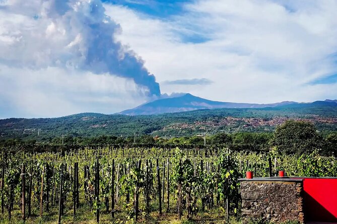 Etna excursion and wine tasting with Sicilian lunch - How the $155.34 price holds up