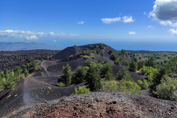 Etna excursion and wine tasting with Sicilian lunch - Reaching the 2002 lava front