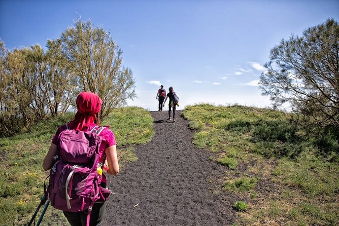 Etna Family Tour Excursion for families with children on Etna - At a glance: what this Etna family tour offers