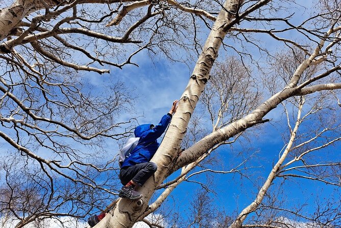 Etna Family Tour Excursion for families with children on Etna - Monti Sartorius: old craters and white birch