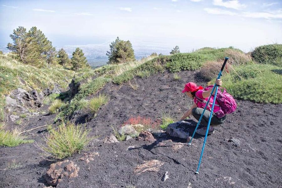 Etna Family Tour: private excursion on Etna mt. for families - Cancellation and booking flexibility