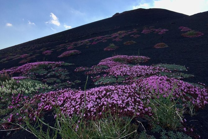 Etna Grantour - 4x4 & trekking - Private tour with lunch included - The 4x4 ride adds access and variety