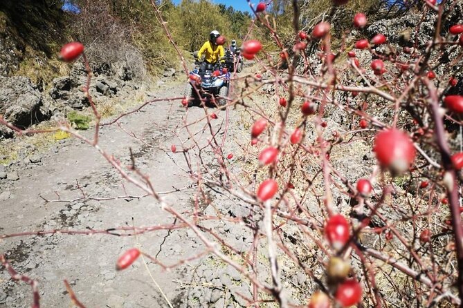 Etna Hard Tour - Reaching 2,000 meters at Silvestri Craters