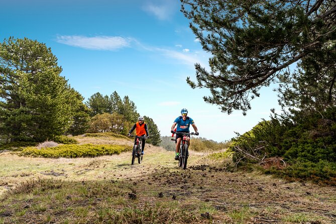 Etna in MTB Half day small group - A family-friendly outing with real mountain-bike demands