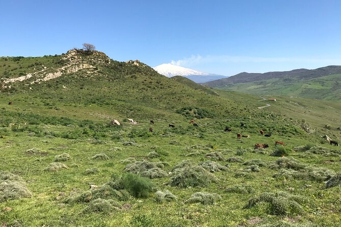 Etna Morning Jeep Tour - Oro d’Etna: wine, honey, and Sicilian flavors