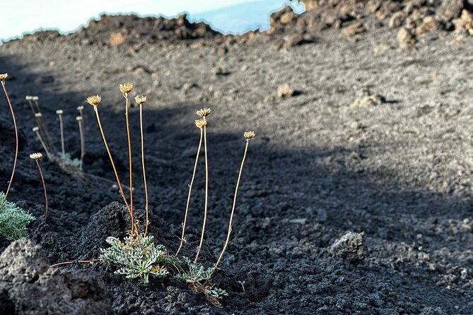 Etna Morning or Sunset - Trek & Lava Tunnel with Gear - Who should choose the morning departure