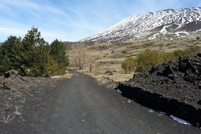 Etna Morning - Pickup Time 08:30 from your Hotel - Who will get the most from this Etna tour?