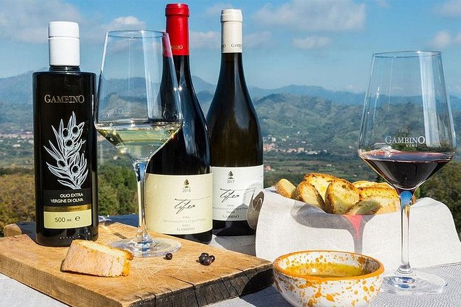 Etna panoramic private tour and Wine taste and food combination - Etna wine at Tenute Orestiadi and La Gelsomina