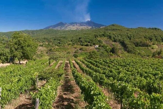 Etna panoramic private tour and Wine taste and food combination - The Silvestri craters at 2,000 meters