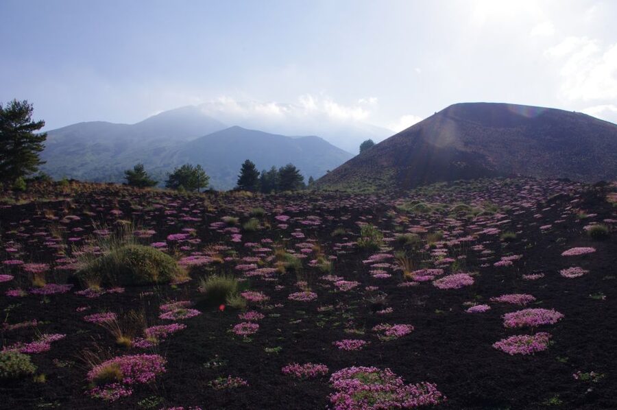 Etna Private Sunset Tour with Prosecco - Sunset, Coastline, and a Glass of Prosecco