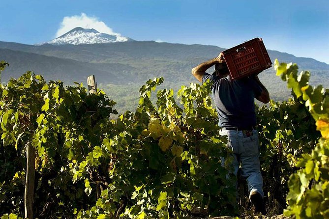 Etna Private tour from Messina Cruise Terminal + Lunch at Winery - From Messina port to Mount Etna