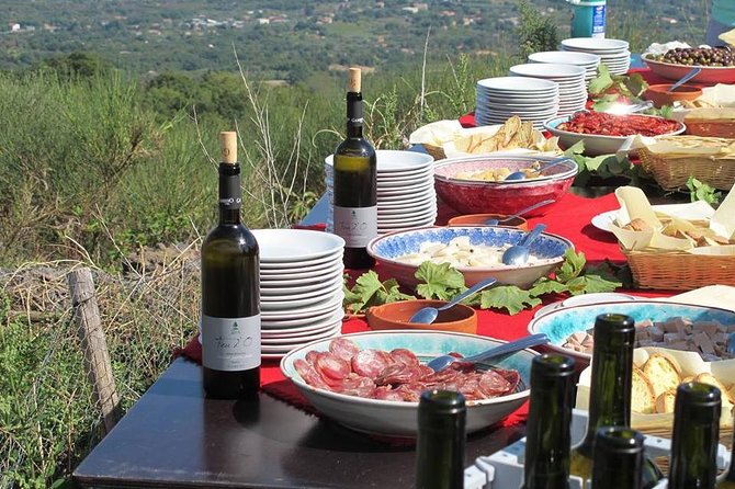 Etna Private tour from Messina Cruise Terminal + Lunch at Winery - The main drawback: distance and limited mountain time