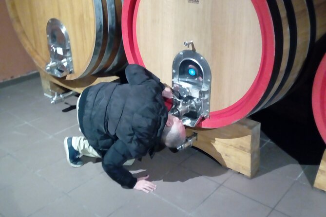Etna private tour with wine cellar gambino lunch and wine tasting - Who will get the most from this Etna tour