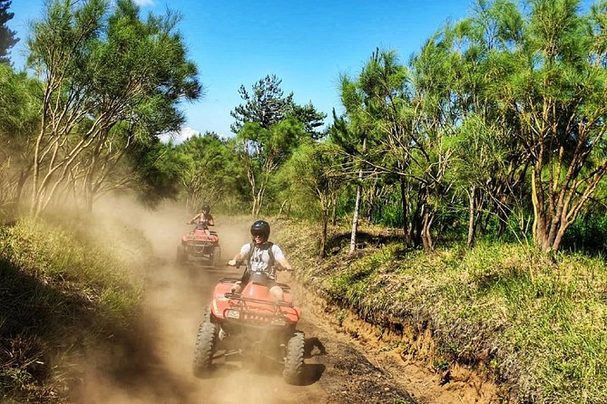 Etna quad tour - half day - Riding from Ragabo into Etna’s pine forest