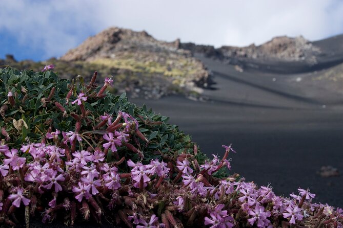 Etna's Hidden Gems - Trek Valle Bove & Lava Tunnel with Gear - A brief look at the Silvestri Craters