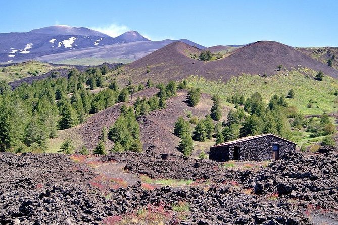 Etna & Taormina from Catania - The value of a $138.47 day