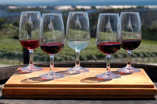 Etna Tour and Lunch in a Winery with Wine Tasting - Who should book this experience