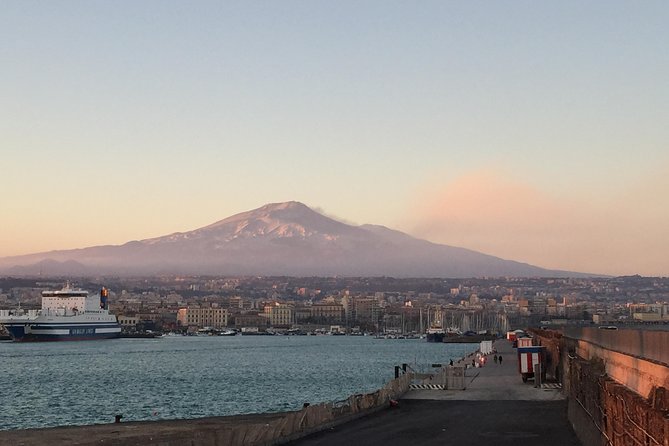 Etna Tour for Cruises (from the port of Catania) - One hour among the Silvestri Craters