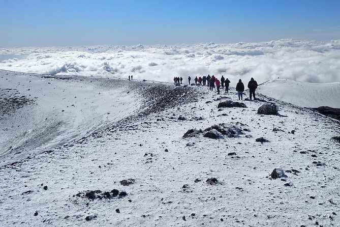 Etna Tour - HalfDay Small Group & licensed Tour Guide - What the $90.74 price buys you
