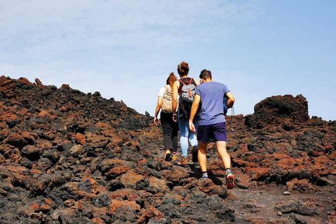 Etna trekking and wine tasting - What the $186.74 price really buys