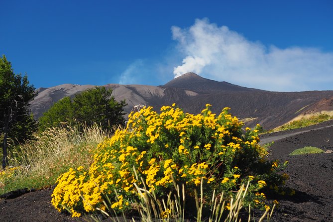 ETNA - Trekking to the Craters Eruption of 2002 - What the guides add to the walk