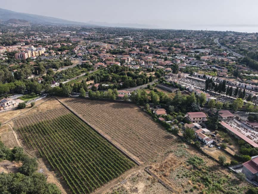 Etna: Urban Winery, Vineyards Walk & Wine Tasting at Sunset - Four Etna wines and chef Leonardo’s pairings