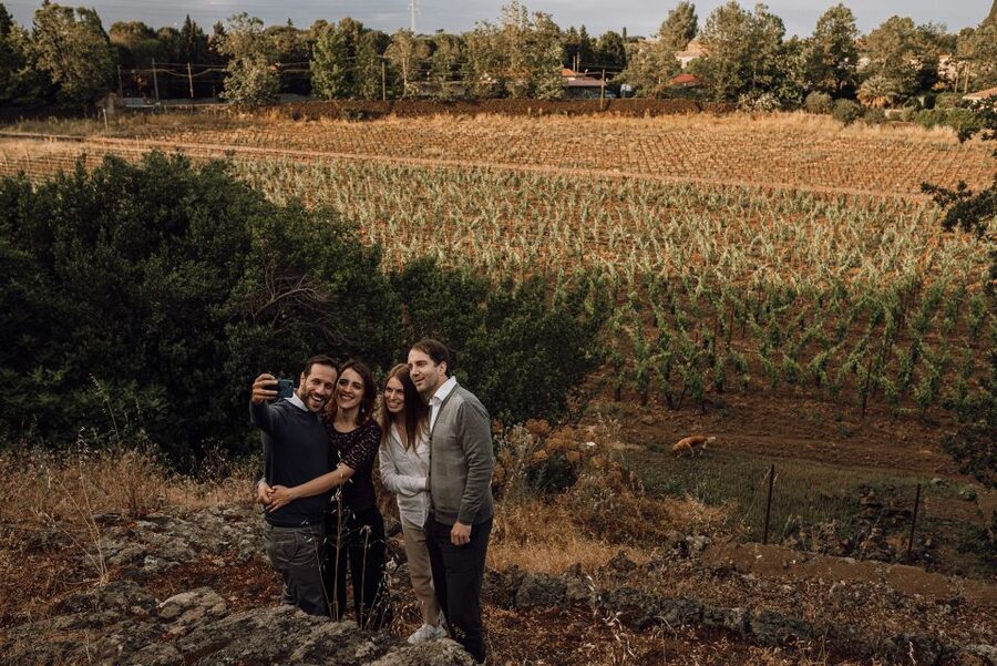 Etna: Urban Winery, Vineyards Walk & Wine Tasting at Sunset - Is the $81.57 price good value?