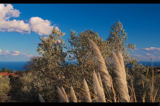 Etna Volcanic Yoga and Meditation Weekend (Private Experience) - Key points at a glance