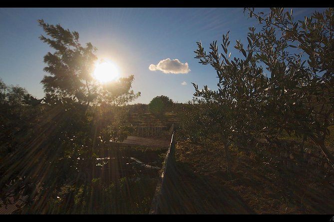 Etna Volcanic Yoga and Meditation Weekend (Private Experience) - Why Etna makes a good yoga setting