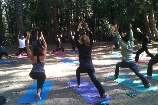Etna Volcanic Yoga and Meditation Weekend (Private Experience) - Tea, pastries, and fresh Sicilian meals
