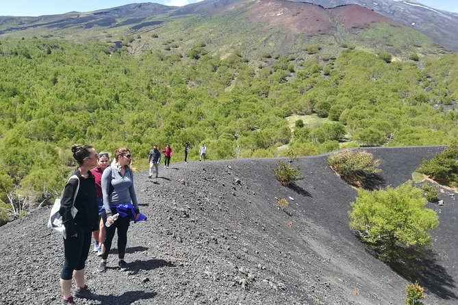 Etna, Wine and Alcantara Tour - From Taormina - An active Etna day from Taormina
