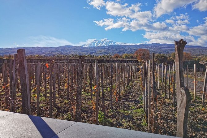 Etna Wine and Alcantara with lunch - Starting in Catania at 8:30 am