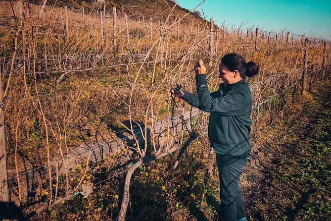 Etna Wine and Food Volcanic Day Tour - Private Experience - What the private format changes