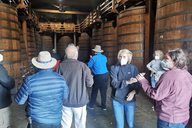 Etna Wine And Taormina From Messina - Timing, comfort, and physical demands