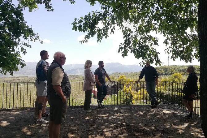 Etna Wine And Taormina From Messina - Who should book this Etna and Taormina tour?