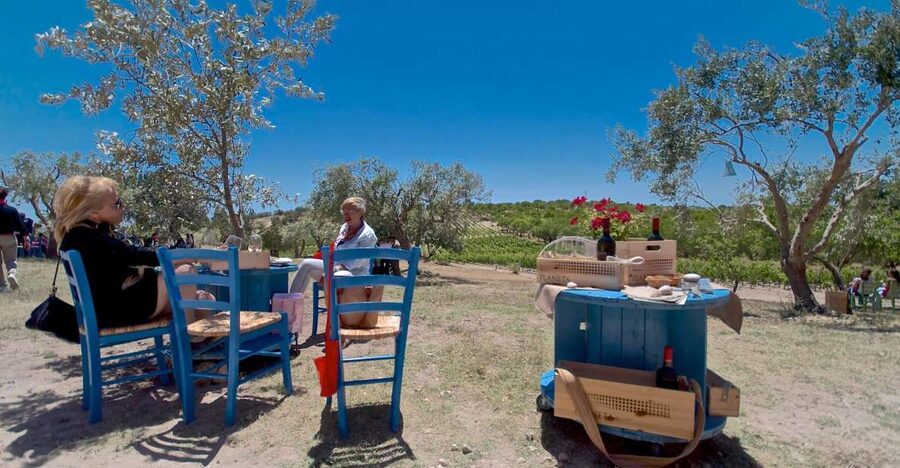 Etna & Wine Private Day Tour - Why this Etna day works well