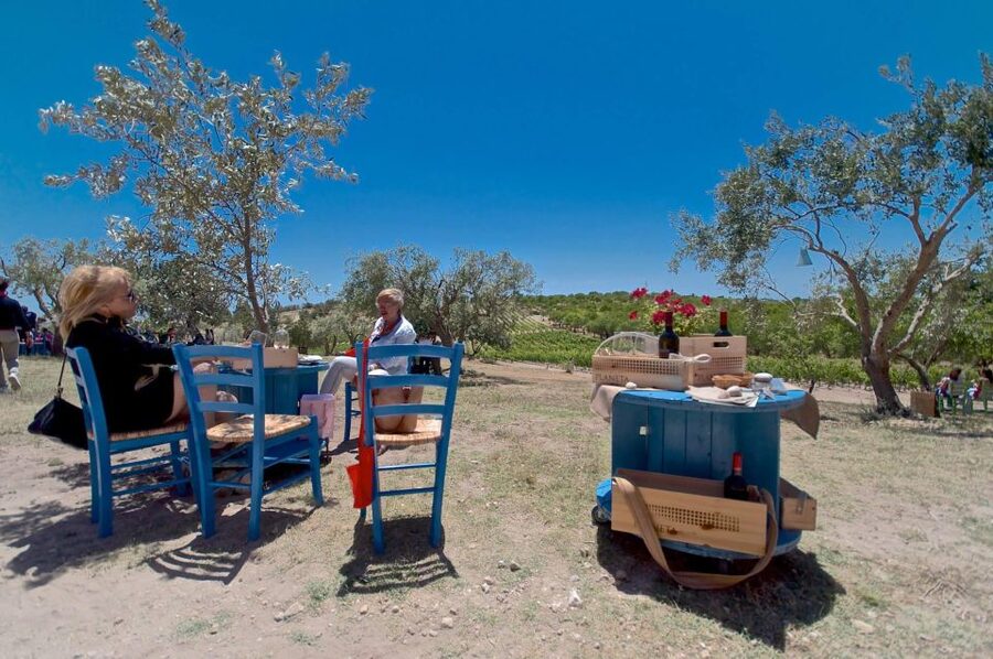 Etna & Wine Private Day Tour - Old craters and lava rivers on Mount Etna