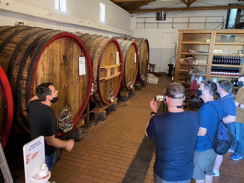 Etna & Wine Private Day Tour - Setting out from Catania or Taormina