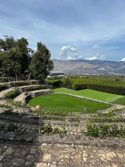 Etna: Wine Tasting and Food Tour - Walking the vineyards after lunch
