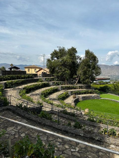 Etna: Wine Tasting and Food Tour - The long return to Catania
